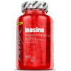 Amix Nutrition Inosine 600 100 capsules bilde Amix Nutrition Inosine 600 100 capsules fotogrāfija