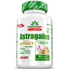 Amix Nutrition Greenday® ProVegan Astragalus Extract 90 tablets paveikslėlį Amix Nutrition Greenday® ProVegan Astragalus Extract 90 tablets nuotrauka