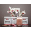 Iconfit Kolageno supermaistas + inulinas 250 g nuotrauka