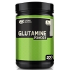 Optimum Nutrition Glutamine 1050 g paveikslėlį Optimum Nutrition Glutamine 1050 g nuotrauka