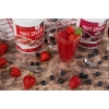 AllNutrition Fruit Splash kissell 500g maasika foto