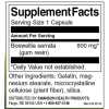 Swanson Boswellia Double Strenght 60 capsules photo
