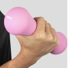 Phoenix Fitness Hanteles 2 kg x 2, rozā bilde Phoenix Fitness Hanteles 2 kg x 2, rozā fotogrāfija