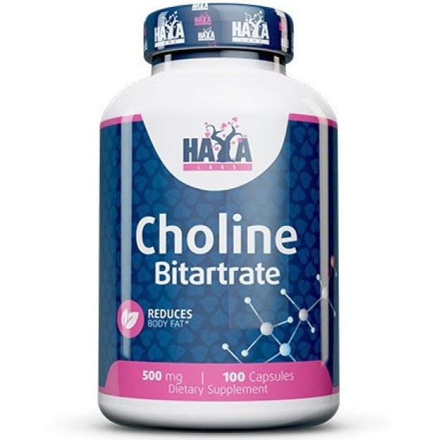 Haya Labs Koliinbitartraat 500 mg 100 kapslit foto
