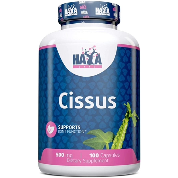Haya Labs Cissus 500 mg 100 Caps photo