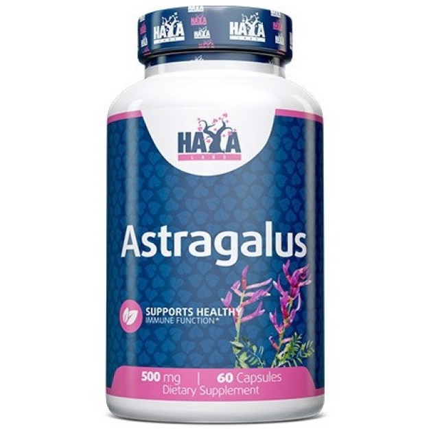 Haya Labs Astragalus 500 mg 60 kapsulių nuotrauka