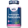 Haya Labs Andrographis Paniculata 400 mg 60 kapsulas bilde Haya Labs Andrographis Paniculata 400 mg 60 kapsulas fotogrāfija