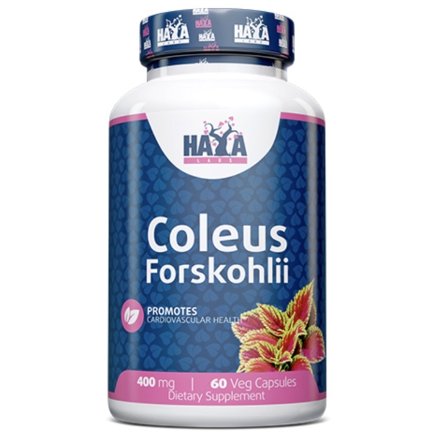 Haya Labs Coleus Forskohlii 60 vegan capsules photo