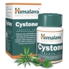 Himalaya Wellness Company Cystone 100 tabletti foto