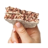 Protein Rex Protein-cereal crispbreads -Berry Mille-feuille- 55 g bilde Protein Rex Protein-cereal crispbreads -Berry Mille-feuille- 55 g fotogrāfija