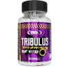 Real Pharm Tribulus 1000 mg 60 kapsulių Real Pharm Tribulus 1000 mg 60 kapsulių
