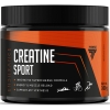 Trec Nutrition Endurance Creatine Sport 300 g bilde Trec Nutrition Endurance Creatine Sport 300 g fotogrāfija