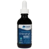 Trace Minerals Kontsentreeritud iooniline klorofüll 59 ml pilt Trace Minerals Kontsentreeritud iooniline klorofüll 59 ml foto
