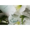 Beauty Of Joseon Tīrīšanas želeja ar zaļo plūmi 100 ml Beauty Of Joseon Tīrīšanas želeja ar zaļo plūmi 100 ml