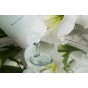 Beauty Of Joseon Green Plum Refreshing Cleanser 100 ml - 1