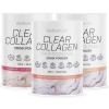 Biotech USA Clear Collagen Professional 350 g photo