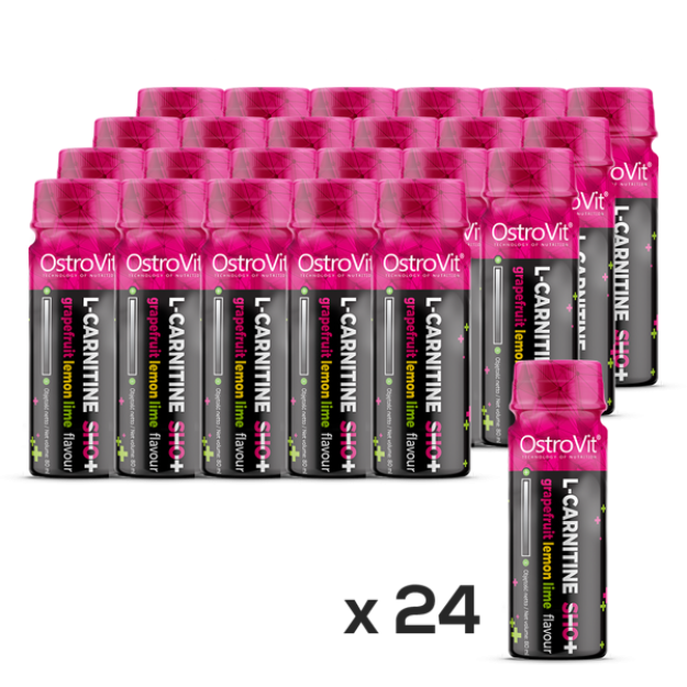Ostrovit L-karnitiin SHOT 24 x 80 ml foto