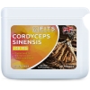 FITS Cordyceps sinensis 1000 mg tabletės paveikslėlį FITS Cordyceps sinensis 1000 mg tabletės nuotrauka