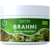 FITS BIO Organic Brahmi (Bacopa Monnieri) 100g powder picture FITS BIO Organic Brahmi (Bacopa Monnieri) 100g powder photo