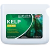 FITS Kelp 120mg tabletes fotogrāfija