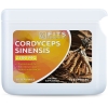 FITS Cordyceps sinensis Strong 2300mg kapsulės FITS Cordyceps sinensis Strong 2300mg kapsulės