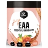 Go Fitness Juicy EAA 450 г картинка Go Fitness Juicy EAA 450 г фото