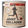 Iconfit Коллаген для суставов 300 г фото