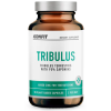 Iconfit Tribulus 90 kapsulių nuotrauka