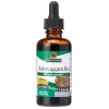 Nature's Answer Ašvagandos Šaknis Alcohol-Free 2000 mg 60 ml Nature's Answer Ašvagandos Šaknis Alcohol-Free 2000 mg 60 ml
