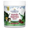 Nordic Naturals Nordic Berries Multivitaminai vaikams 120 kramtomųjų saldainių Nordic Naturals Nordic Berries Multivitaminai vaikams 120 kramtomųjų saldainių