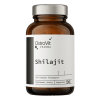 Ostrovit Pharma Shilajit (Mumio) 90 kapsulas Ostrovit Pharma Shilajit (Mumio) 90 kapsulas