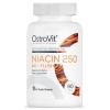 Ostrovit Niacīns 250 NO-FLUSH 90 tabletes bilde Ostrovit Niacīns 250 NO-FLUSH 90 tabletes fotogrāfija