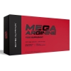 Scitec Nutrition Mega Arginine 120 kapsulas bilde Scitec Nutrition Mega Arginine 120 kapsulas fotogrāfija