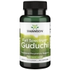 Swanson Guduchi 400 mg 90 kapslit pilt Swanson Guduchi 400 mg 90 kapslit foto