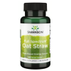 Swanson Oat Straw 400 mg 60 capsules Swanson Oat Straw 400 mg 60 capsules