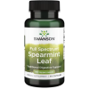 Swanson Full Spectrum Piparmündi lehed 400 mg 60 kapslit pilt Swanson Full Spectrum Piparmündi lehed 400 mg 60 kapslit foto