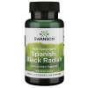 Swanson Full Spectrum Ispanijos juodasis ridikas 500 mg 60 kapsulių Swanson Full Spectrum Ispanijos juodasis ridikas 500 mg 60 kapsulių