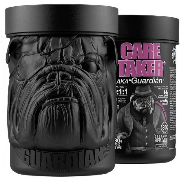 CARETAKER BCAA 480 g