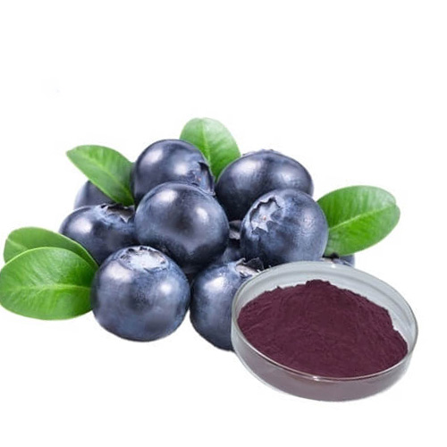 Bilberry extract picture 