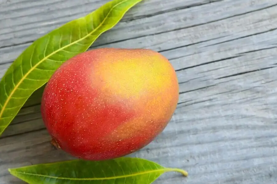 African mango picture 