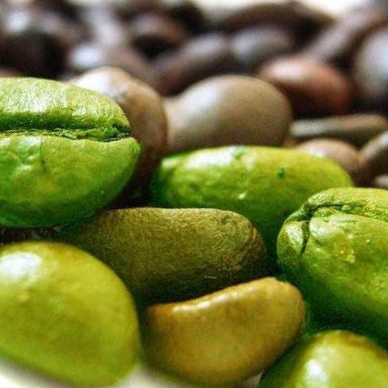 Rohelise kohvioa ekstrakt pilt
