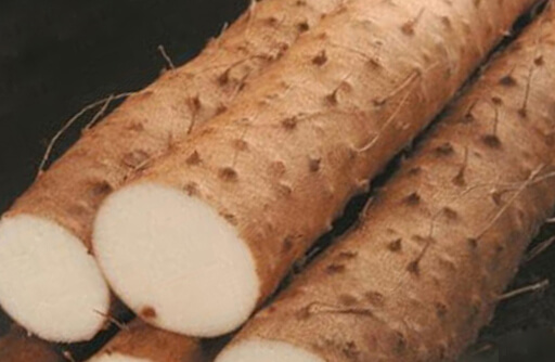 Mexican Wild Yam picture