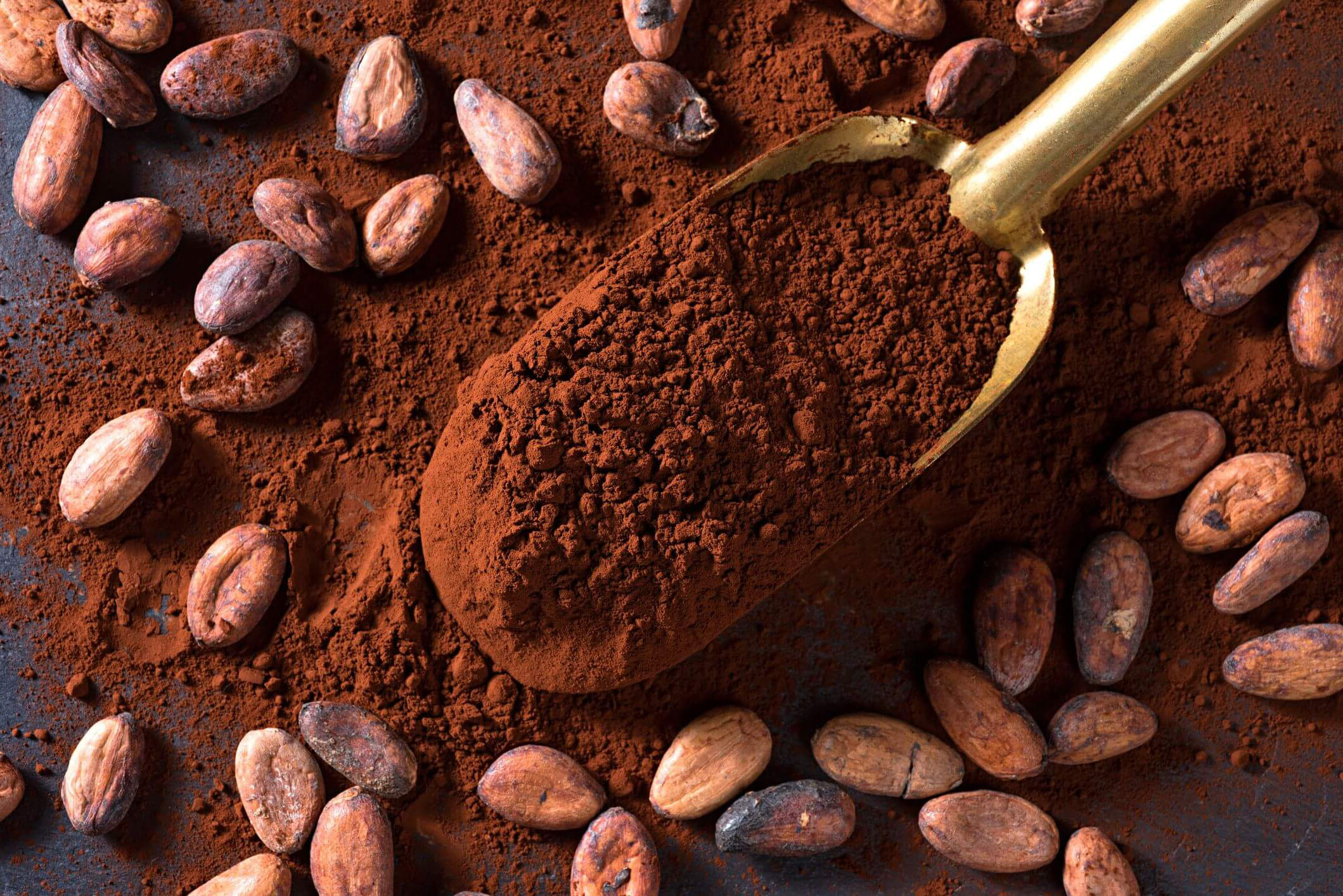 Сырой какао-порошок органический картинка 