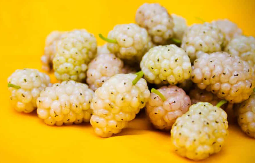 white mulberry picture